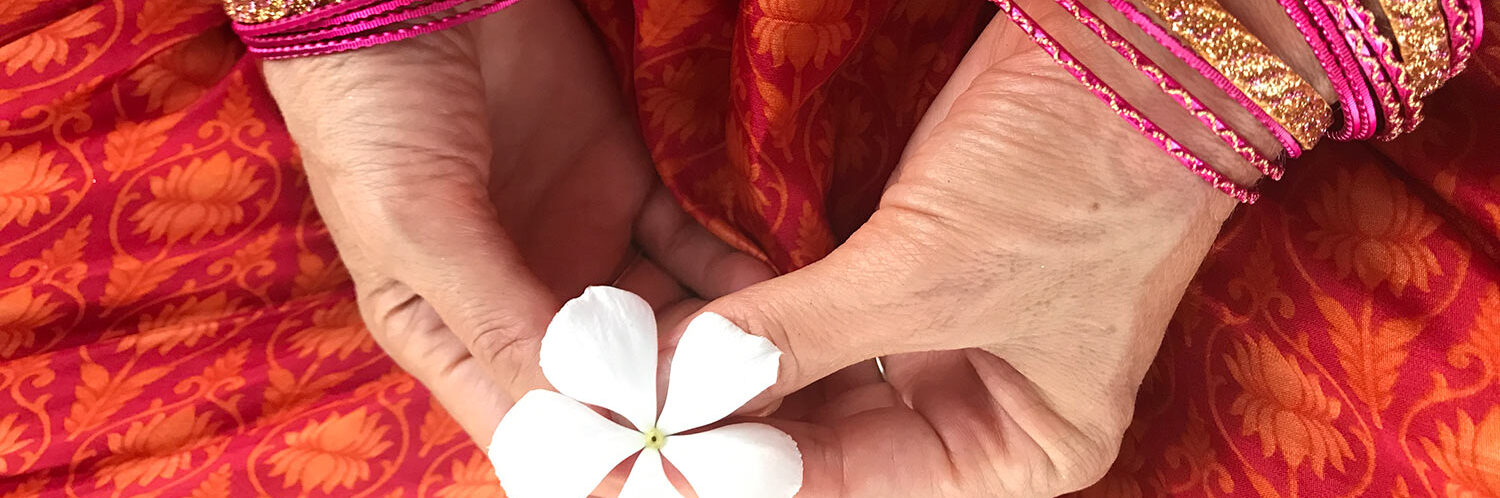 Hand of Indian woman holding white flower