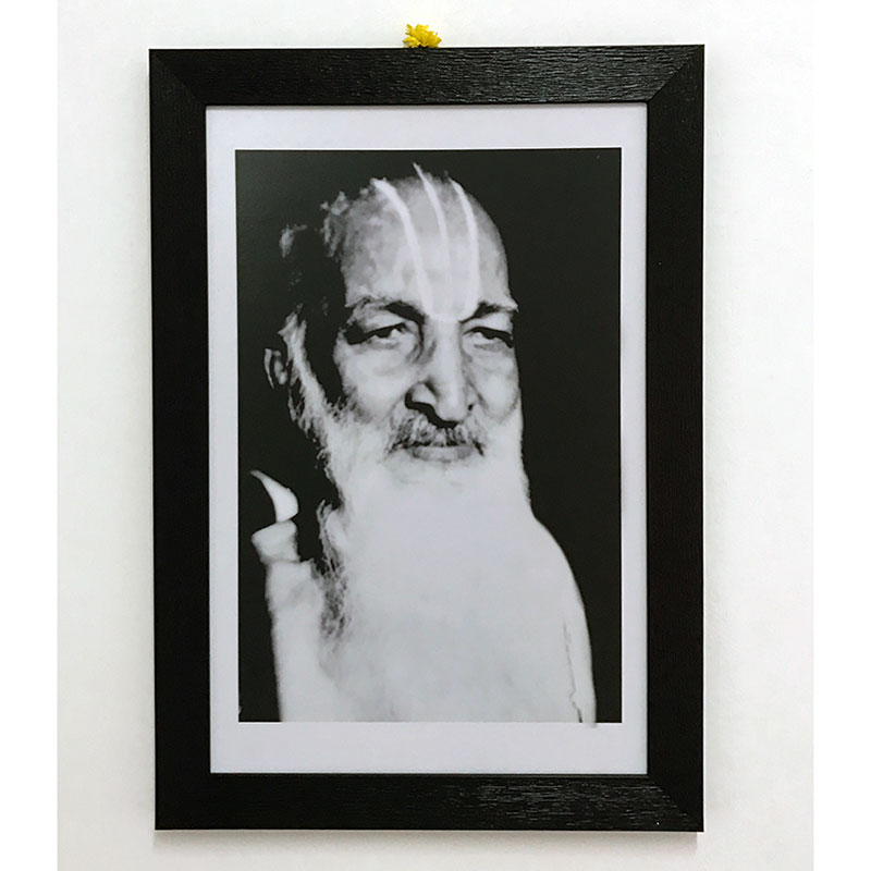 Framed photo of Krishnamacharya